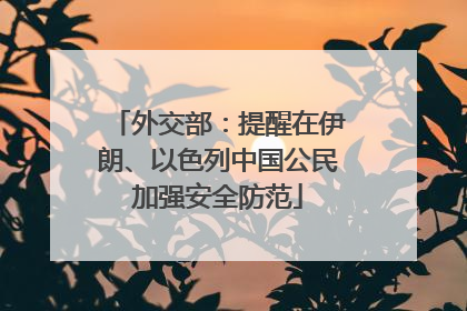 外交部：提醒在伊朗、以色列中国公民加强安全防范