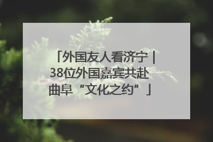 外国友人看济宁｜38位外国嘉宾共赴曲阜“文化之约”
