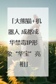大熊猫+机器人 成都成华禁毒IP形象“华宝”亮相