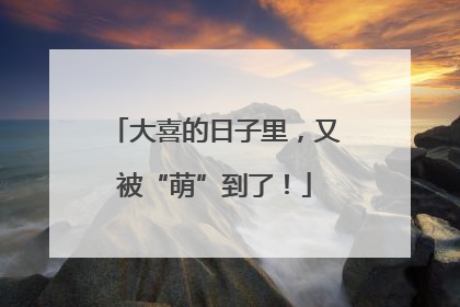 大喜的日子里，又被“萌”到了！