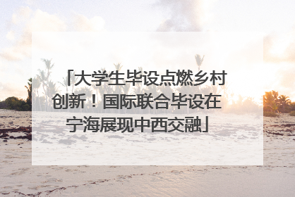 大学生毕设点燃乡村创新！国际联合毕设在宁海展现中西交融