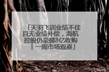 天羽飞训业绩不佳且无业绩补偿，海航控股仍豪掷8亿收购丨一周市场观察