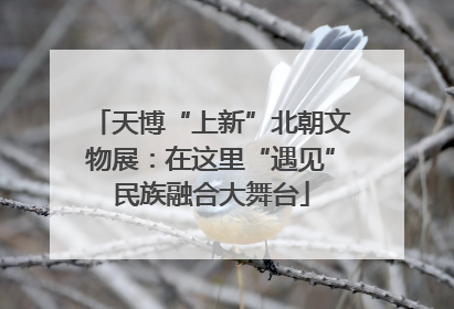 天博“上新”北朝文物展：在这里“遇见”民族融合大舞台