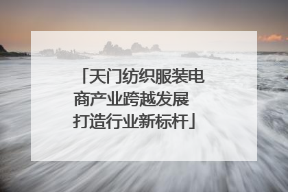 天门纺织服装电商产业跨越发展 打造行业新标杆