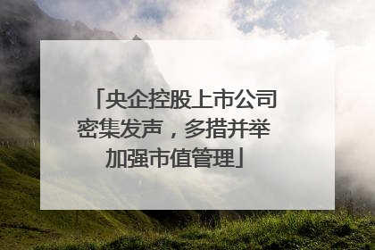 央企控股上市公司密集发声，多措并举加强市值管理