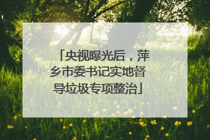 央视曝光后，萍乡市委书记实地督导垃圾专项整治
