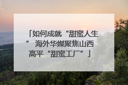 如何成就“甜蜜人生” 海外华媒聚焦山西高平“甜蜜工厂”