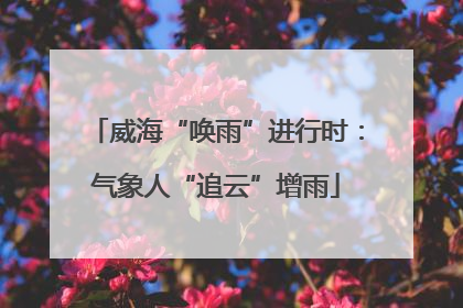 威海“唤雨”进行时：气象人“追云”增雨
