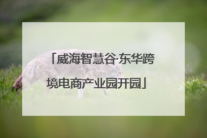 威海智慧谷·东华跨境电商产业园开园