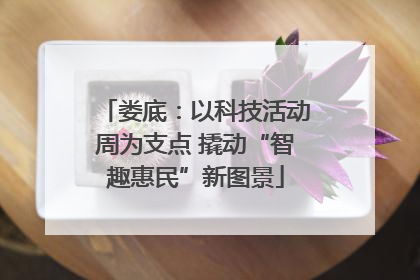 娄底：以科技活动周为支点 撬动“智趣惠民”新图景