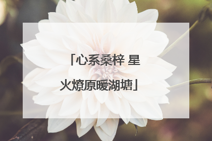 心系桑梓 星火燎原暖湖塘
