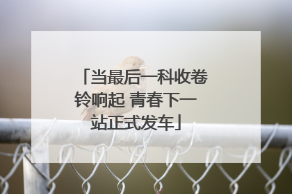当最后一科收卷铃响起 青春下一站正式发车