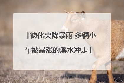 德化突降暴雨 多辆小车被暴涨的溪水冲走