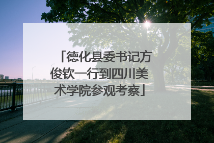 德化县委书记方俊钦一行到四川美术学院参观考察