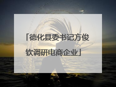 德化县委书记方俊钦调研电商企业