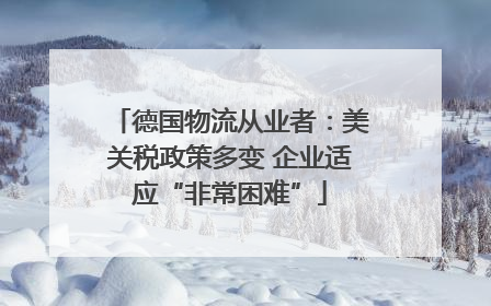 德国物流从业者：美关税政策多变 企业适应“非常困难”