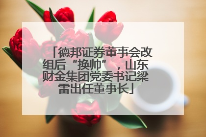 德邦证券董事会改组后“换帅”，山东财金集团党委书记梁雷出任董事长