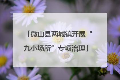 微山县两城镇开展“九小场所”专项治理