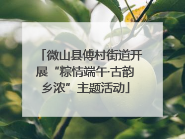 微山县傅村街道开展“粽情端午·古韵乡浓”主题活动