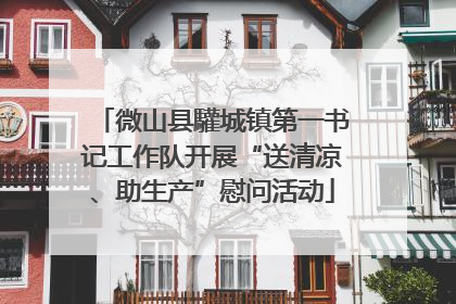 微山县驩城镇第一书记工作队开展“送清凉、助生产”慰问活动