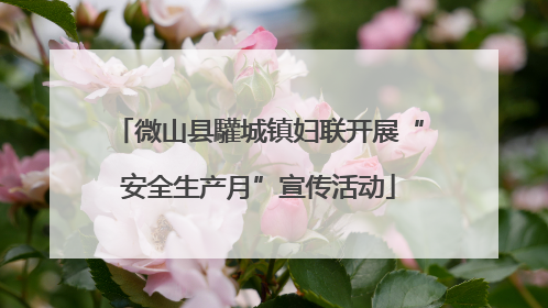 微山县驩城镇妇联开展“安全生产月”宣传活动