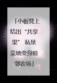 小板凳上结出“共享果” 私垦菜地变身睦邻农场