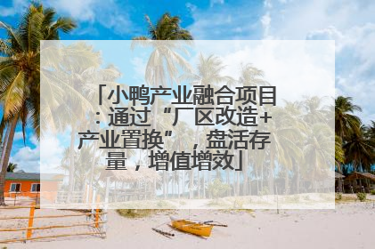 小鸭产业融合项目：通过“厂区改造+产业置换”，盘活存量，增值增效