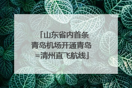山东省内首条 青岛机场开通青岛=清州直飞航线