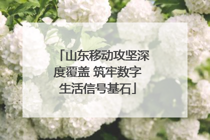 山东移动攻坚深度覆盖 筑牢数字生活信号基石