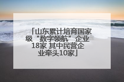 山东累计培育国家级“数字领航”企业18家 其中民营企业牵头10家