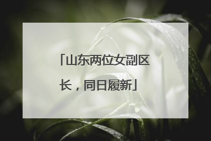 山东两位女副区长，同日履新