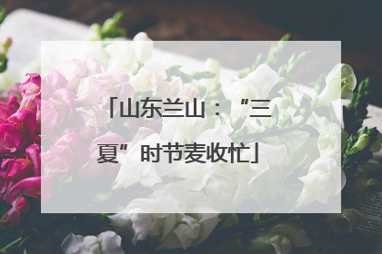山东兰山：“三夏”时节麦收忙