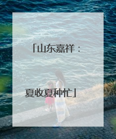 山东嘉祥：夏收夏种忙