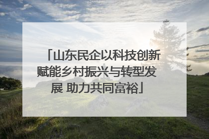 山东民企以科技创新赋能乡村振兴与转型发展 助力共同富裕