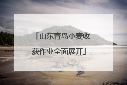 山东青岛小麦收获作业全面展开