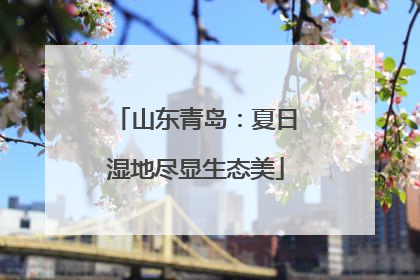 山东青岛：夏日湿地尽显生态美