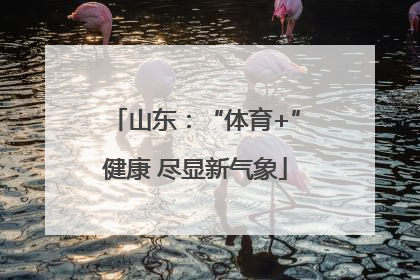 山东：“体育+”健康 尽显新气象