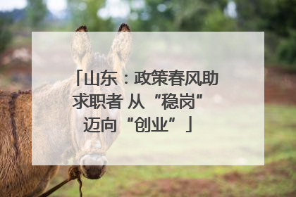 山东：政策春风助求职者 从“稳岗”迈向“创业”