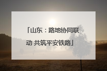 山东:路地协同联动 共筑平安铁路