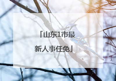 山东1市最新人事任免