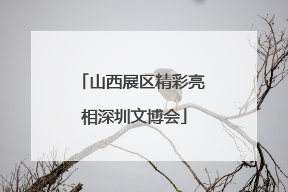 山西展区精彩亮相深圳文博会