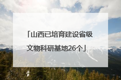 山西已培育建设省级文物科研基地26个