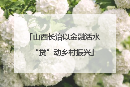 山西长治以金融活水“贷”动乡村振兴