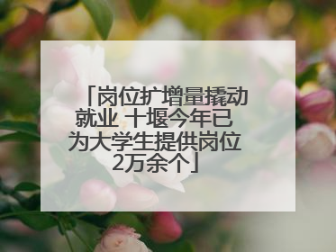 岗位扩增量撬动就业 十堰今年已为大学生提供岗位2万余个