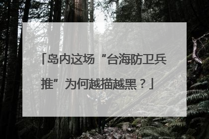 岛内这场“台海防卫兵推”为何越描越黑？
