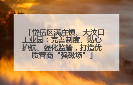 岱岳区满庄镇、大汶口工业园：完善制度、贴心护航、强化监管，打造优质营商“强磁场”