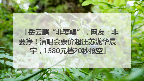 岳云鹏“非要唱”，网友：非要挣！演唱会票价超汪苏泷华晨宇，1580元档20秒抢空