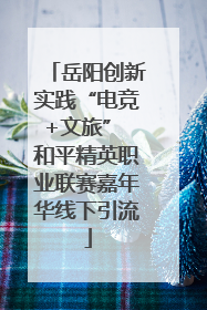岳阳创新实践“电竞+文旅” 和平精英职业联赛嘉年华线下引流