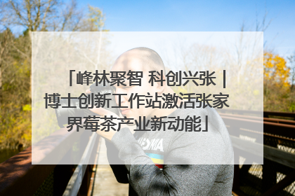 峰林聚智 科创兴张｜博士创新工作站激活张家界莓茶产业新动能