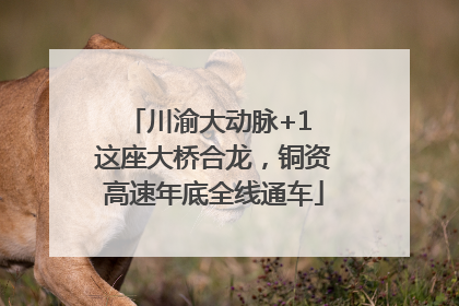 川渝大动脉+1 这座大桥合龙，铜资高速年底全线通车